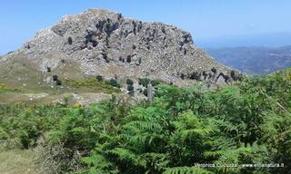 cche del Crasto-04-07-2016 19-25-23